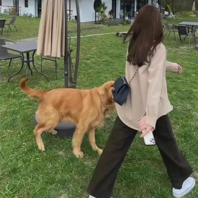 破碎的彩虹